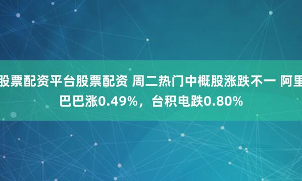股票配资平台股票配资 周二热门中概股涨跌不一 阿里巴巴涨0.49%，台积电跌0.80%