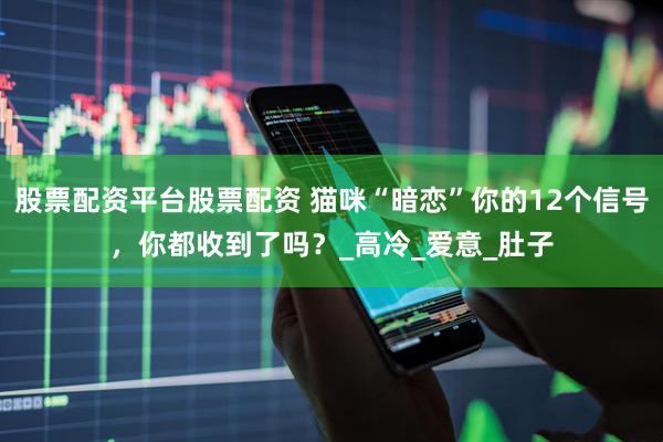 股票配资平台股票配资 猫咪“暗恋”你的12个信号，你都收到了吗？_高冷_爱意_肚子